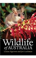 Wildlife of Australia