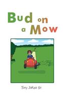 Bud on a Mow