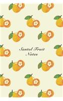 Santol Fruit Notes: 6"x9" Unruled Blank Notebook Watercolor Texture Design Tropical Organic Fruit Pattern Cover. Matte Softcover Note Book Journal