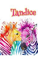 Tandice: Rainbow Zebras, Personalized Journal, Diary, Notebook, 105 Lined Pages, Christmas, Birthday, Friendship Gifts for Girls, Teens and Women, Book Size 8 1/2 X 11