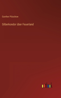 Silberkondor über Feuerland