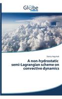 Non-Hydrostatic Semi-Lagrangian Scheme on Convective Dynamics