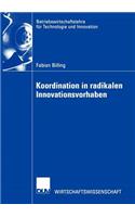 Koordination in Radikalen Innovationsvorhaben