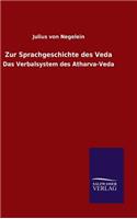 Zur Sprachgeschichte des Veda