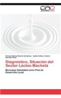 Diagnostico, Situacion del Sector Lacteo Macheta