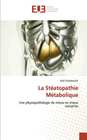 La Stéatopathie Métabolique