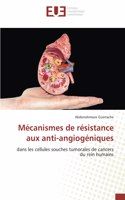Mécanismes de résistance aux anti-angiogéniques