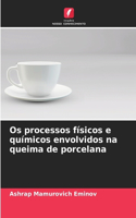 Os processos físicos e químicos envolvidos na queima de porcelana