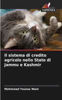 sistema di credito agricolo nello Stato di Jammu e Kashmir