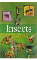 Insects