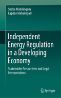 Independent Energy Regulation in a Developing Economy