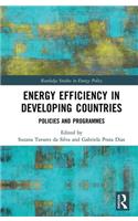 Energy Efficiency in Developing Countries