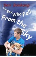 Boy Who Fell From the Sky