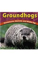 Groundhogs Woodchucks Marmots & Whistle