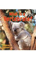 What is a Vertebrate: (Big Science Ideas)