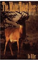 White-Tailed Deer