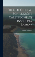 Neu-Guinea-Schildkröte Carettochelys insculpta Ramsay