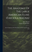 The Anatomy Of The Large American Fluke (fasciola Magna)