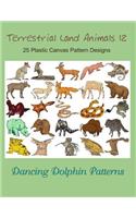Terrestrial Land Animals 12