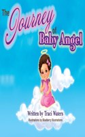 Journey of Baby Angel...