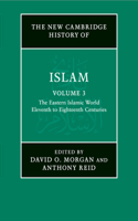 New Cambridge History of Islam