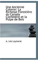 Une Ancienne Colonie: La Richesse Forestière du Canada Confédéré et la Pulpe de Bois(English)