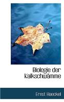 Biologie Der Kalkschwamme