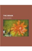 The Brain