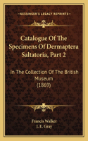 Catalogue of the Specimens of Dermaptera Saltatoria, Part 2
