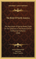 The Birds Of North America