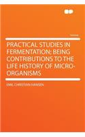 Practical Studies in Fermentation; Being Contributions to the Life History of Micro-Organisms