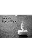 Jaunts in Black and White 2017