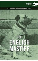 English Mastiff - A Complete Anthology of the Dog