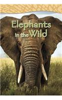 Elephants in the Wild: (Shared Reading Big Books)