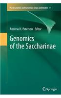 Genomics of the Saccharinae