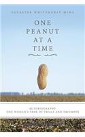 One Peanut at a Time