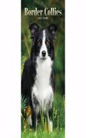 BORDER COLLIES SLIM DIARY 2021