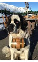 The St. Bernard Dog Journal