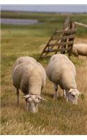 Sheep Grazing in a Field Animal Journal: 150 Page Lined Notebook/Diary