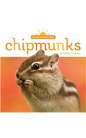 Chipmunks