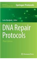 DNA Repair Protocols