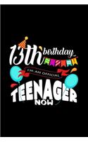 13th birthday official teenager