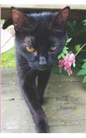 Black Cat Journal