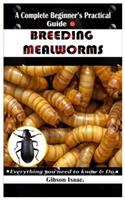 A Complete Beginner's Practical Guide To BREEDING MEALWORMS.: Everything you need to know & Do