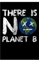 There is no Planet B