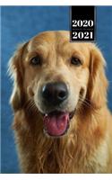 Golden Retriever Dog Calendar Week Planner 2020 / 2021 - Very Kind