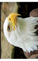 Journal: 6" x 9" Blank Lined Journal - 128 College Ruled Pages: Patriotic Bald Eagle Design on Soft Matte Cover - Notebook, Diary, Composition Book for Ameri