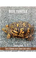 Fun Learning Facts about Box Turtle