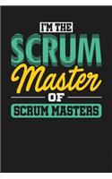 I'm the Scrum Master of Scrum Masters