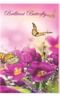 Brilliant Butterfly: 124 Page Softcover, Has Lined Pages with a Border, College Rule Composition (6